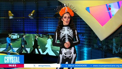 Céline Dion reaparece en partido de hockey