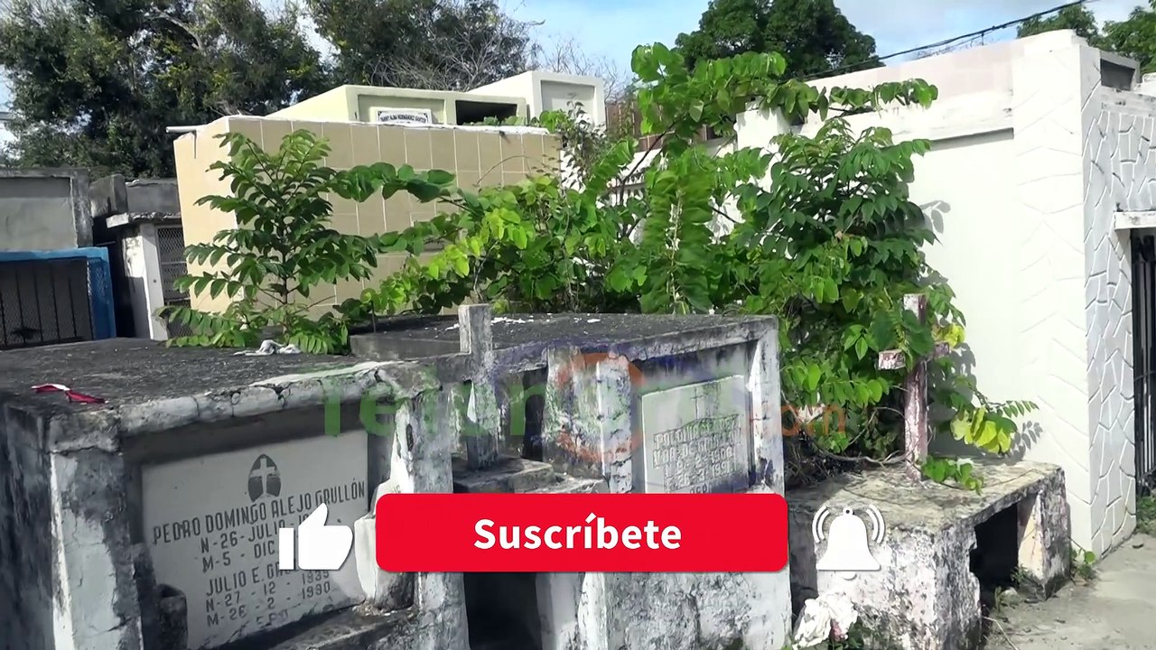 Visitantes se quejan por abandono de tumbas en el cementerio SFM