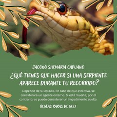 -Jacobo Shemaria Capuano- Reglas raras de golf: (Parte 1) (Creado por @JacoboShemariaCapuano)