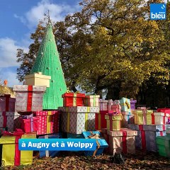 Dans les coulisses du montage du Sentier des lanternes à Metz