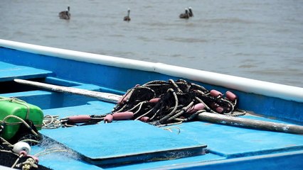 WE'RE BEING BULLIED, CARLI BAY FISHERMEN SAY