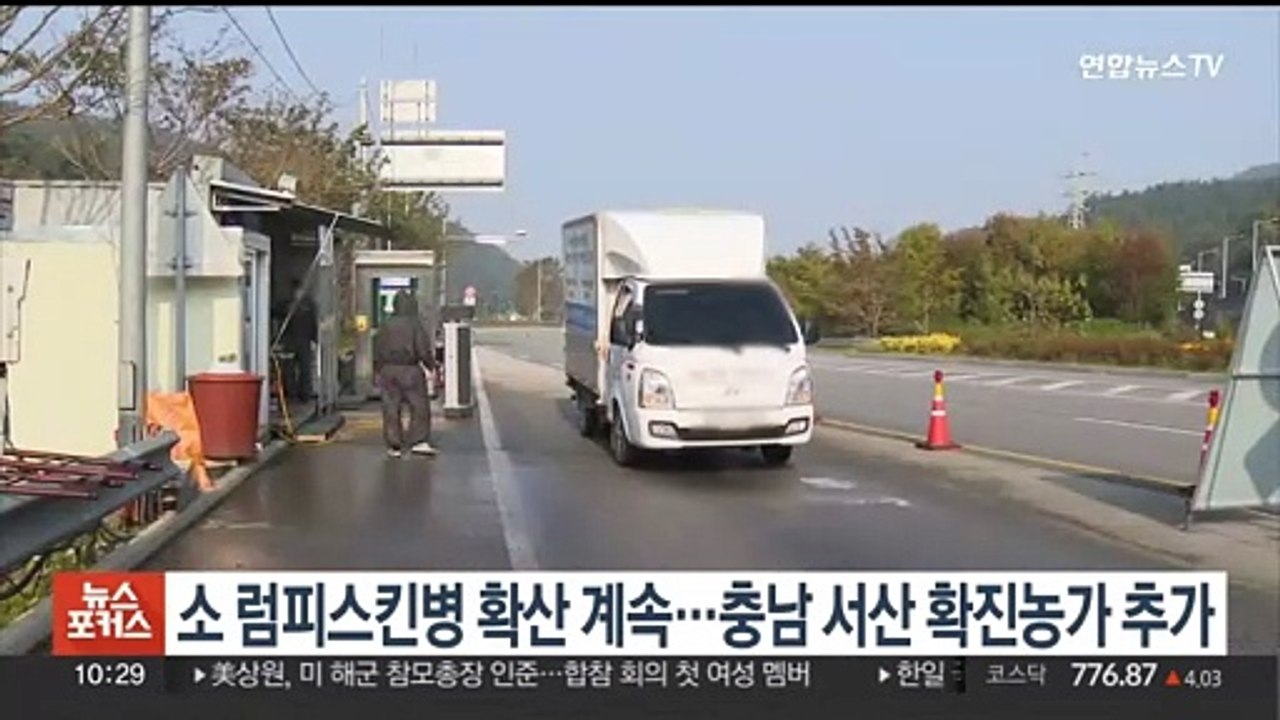 소 럼피스킨병 확산세 이어져…서산 한우농장 1곳 추가 확인