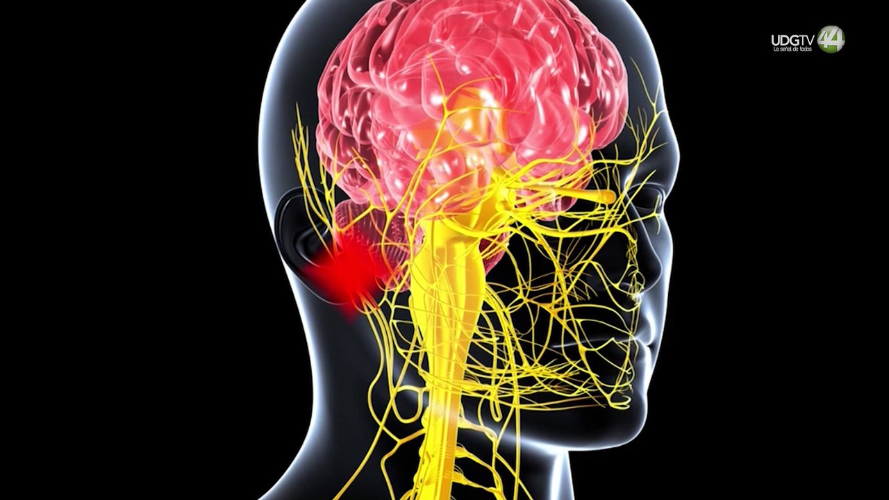 Mayores de 50 años los más propensos a infartos cerebrales, advierten especialistas