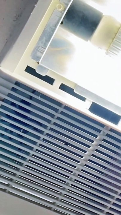 Tarantula In The Shower Vents