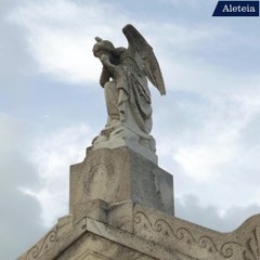 Nove terças-feiras para os anjos 