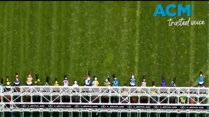 Melbourne Cup 2023 cheat sheet: Favourites, odds and where to watch