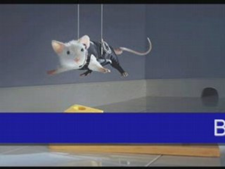 Nemo 33 Opus N°05 Prologue