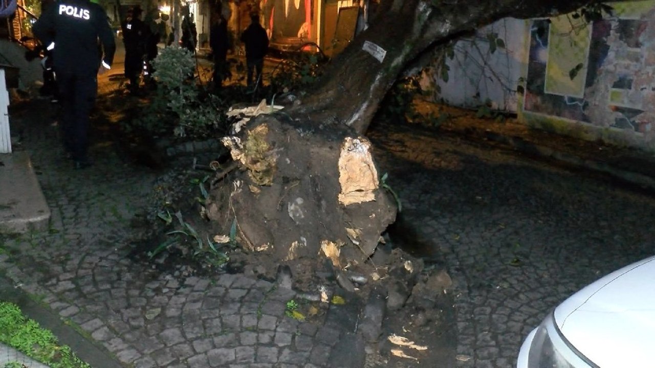 Üsküdar’da evin bahçe duvarına ağaç devrildi
