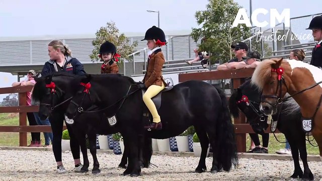 2023 Regional Show Horse Championships. Video by Gareth Gardner for ACM