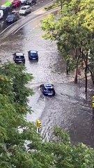 Chaos Caused By Constant Storms