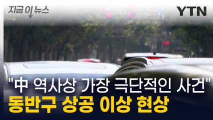 11월에 전 세계 동반구 이상 기온 기록 경신 🌡️