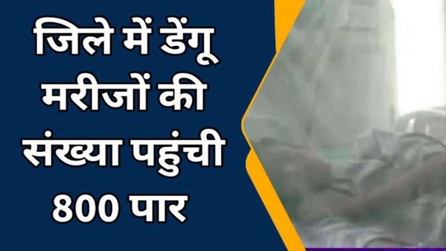 बरेली: जिले में लगातार डेंगू का आतंक जारी, डेंगू मरीजों की संख्या पहुंची 800 पार