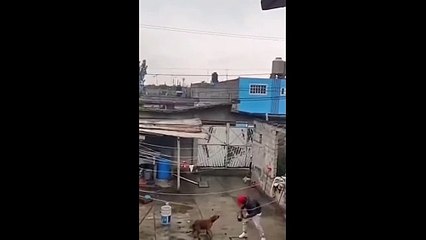 Lui il a vraiment au mauvais karma