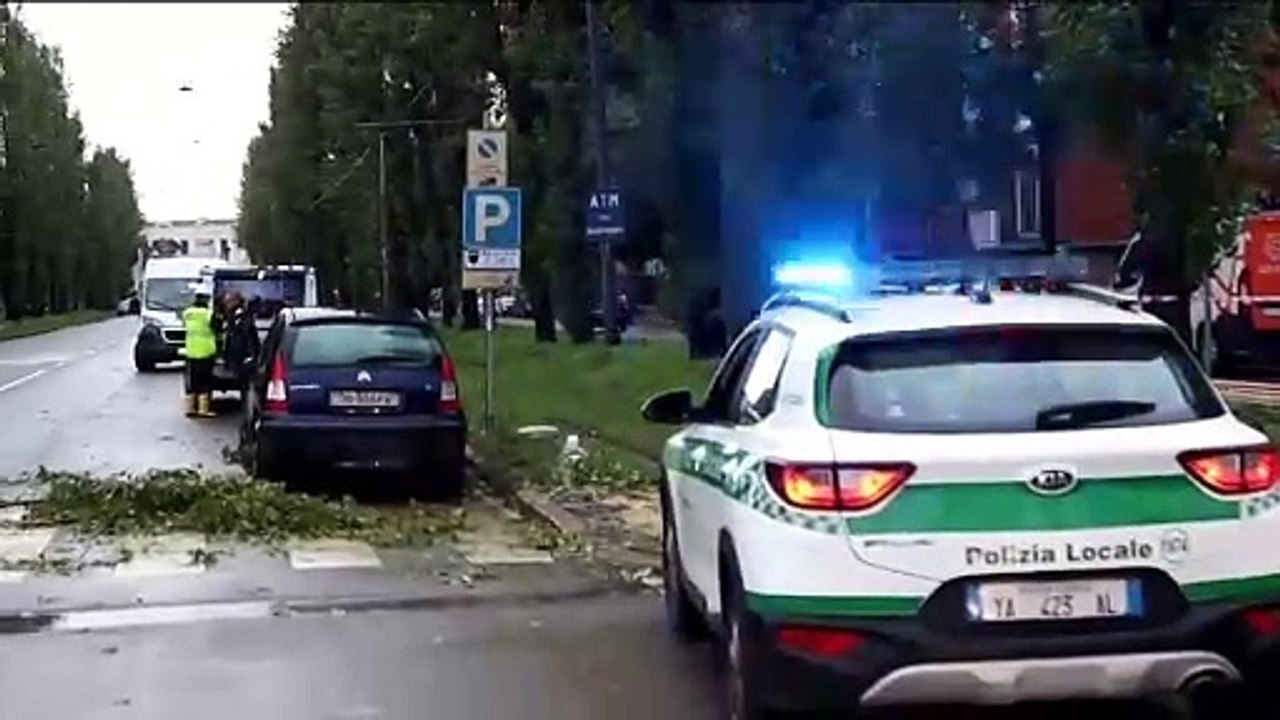 Maltempo a Milano: rimosso un albero caduto a C...