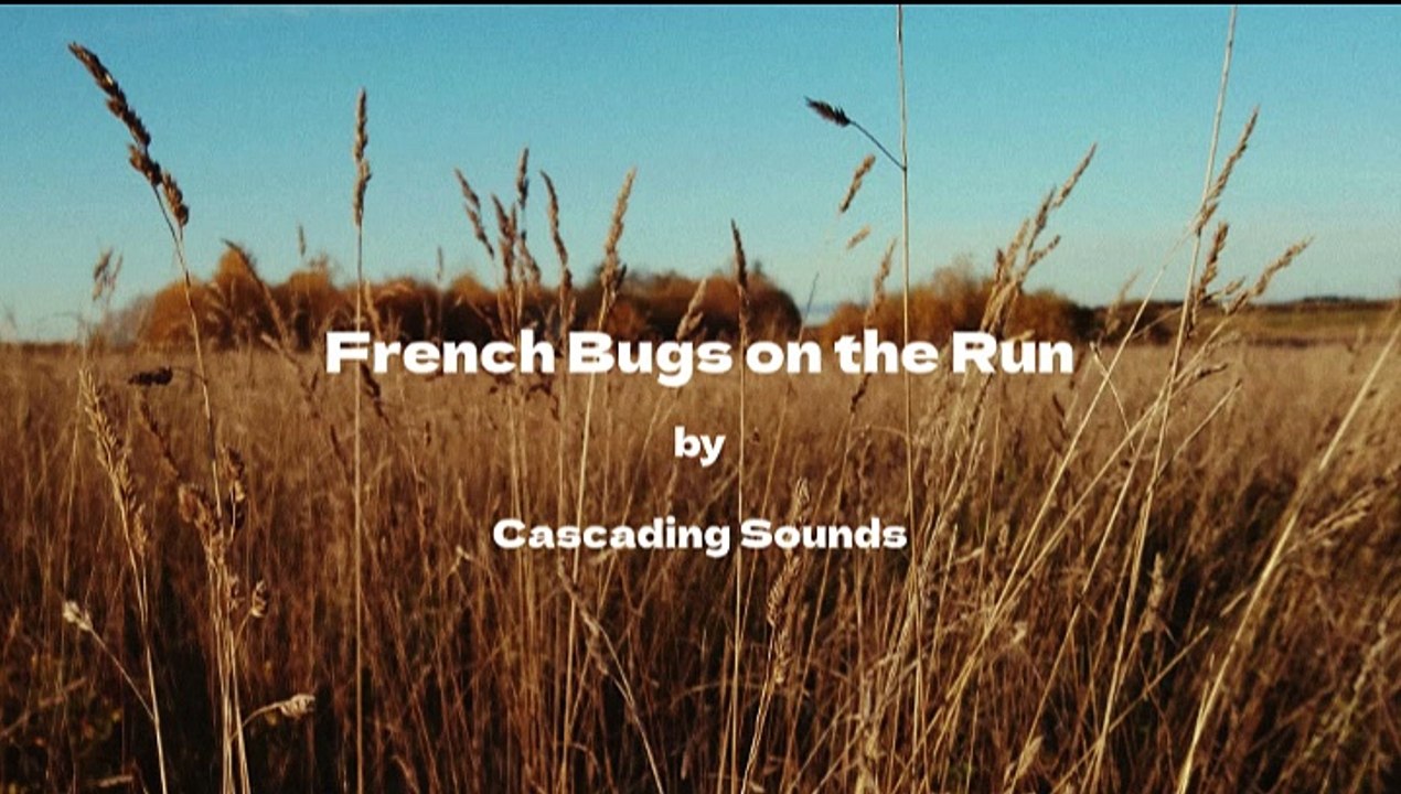 Swarm Serenade - Cascading Sounds