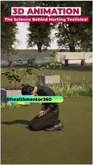 Even a simple hit on Testicles is  _SO MUCH_ Painful_ WHY ?_ shorts |