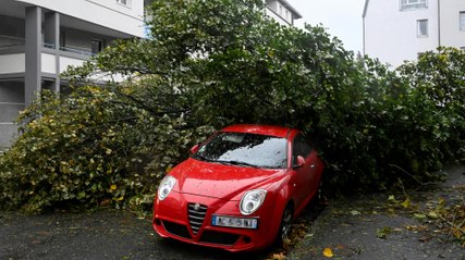 Herbststurm "Ciaran": Mindestens zehn Tote in Europa