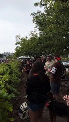 Lancer de bière sur un bateau