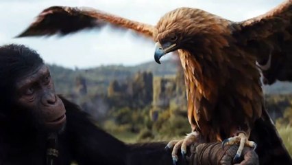Watch the Exciting New Trailer for Kingdom of the Planet of the Apes 🌍
