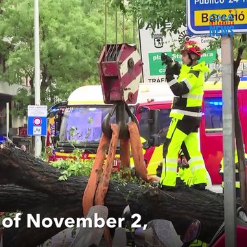 Bagyong Ciaran, nanalasa sa Northern Europe | GMA Integrated Newsfeed