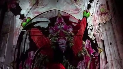 Hugely moving light display remembers the war dead