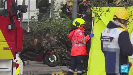 Ten dead as Storm Ciaran batters Western Europe