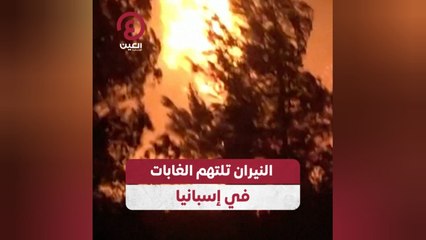 النيران تلتهم الغابات في إسبانيا