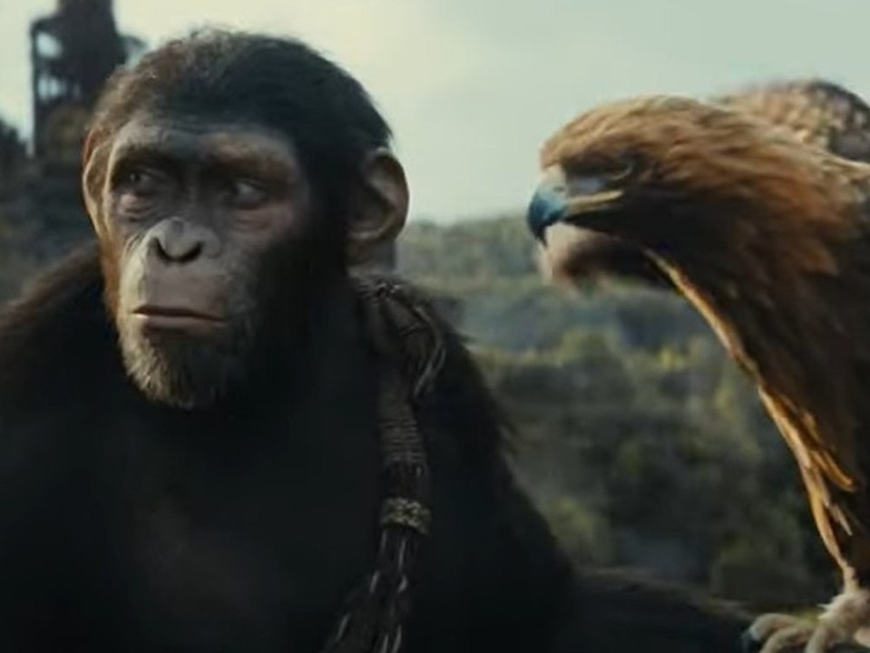 "Planet der Affen: New Kingdom": Erster Trailer zum Actionfilm ist da