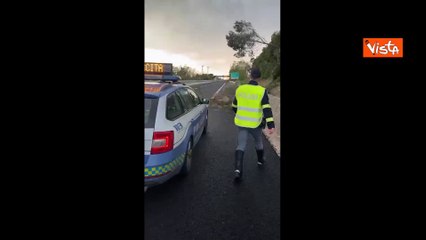 Maltempo in Toscana, la situazione sulla A11 e la A14. Alberi caduti e carreggiata allagata