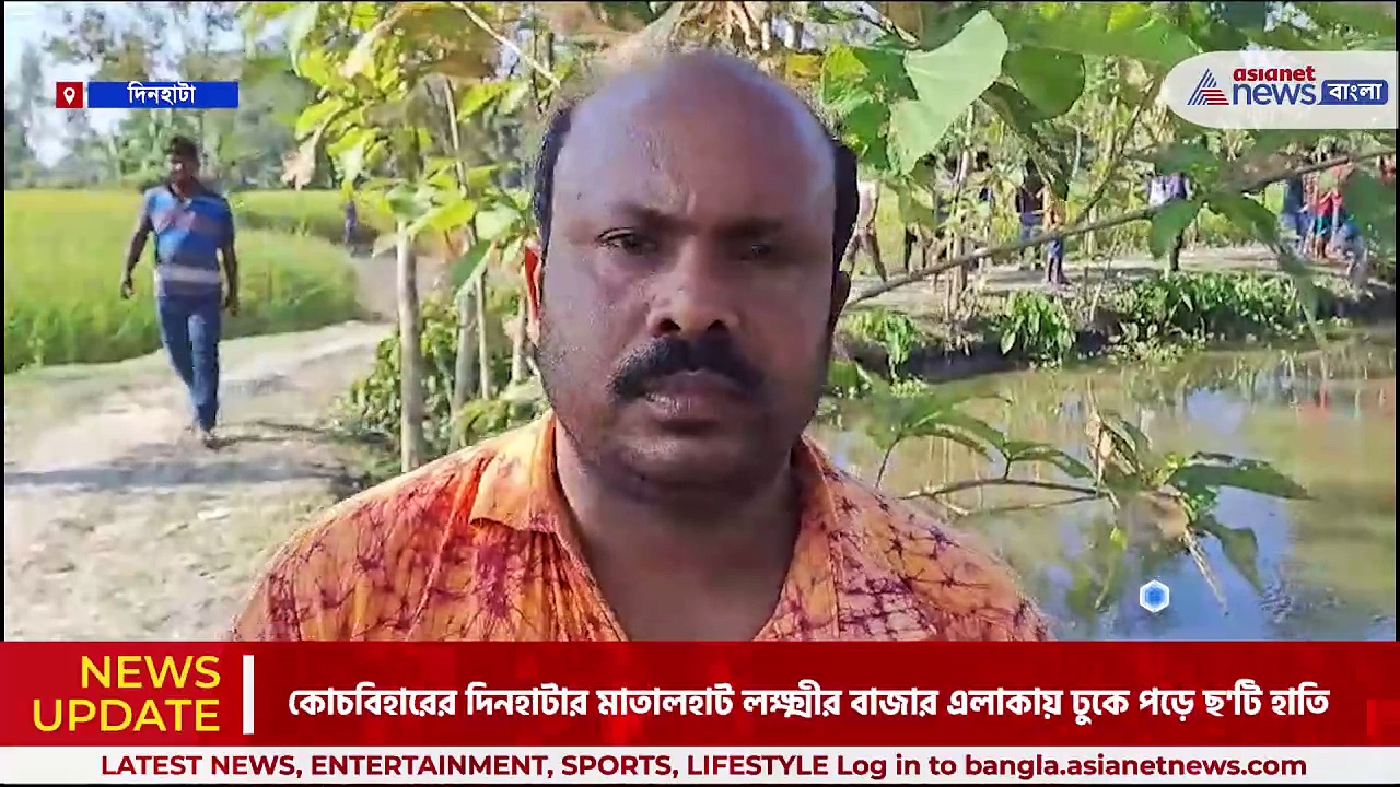 ধান পাকতেই লোকালয়ে হাতির দল, আতঙ্ক দিনহাটার মাতালহাট বাজার এলাকায়