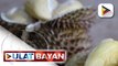 Puyat durian mula sa Mindanao, kabilang sa ibibida ng Pilipinas sa China Internatonal Import Expo...