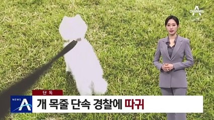 [단독]개 목줄 단속하자 경찰에 따귀