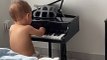 Baby Pianist Takes a Tumble