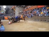 Incidente cavallo Palio Siena  - Slowed images