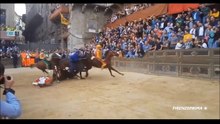 Incidente cavallo Palio Siena  - Slowed images