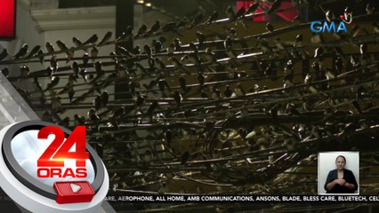 Mga ibong "Layang-layang," nakaka-perwisyo sa ilang residente sa Batangas | 24 Oras