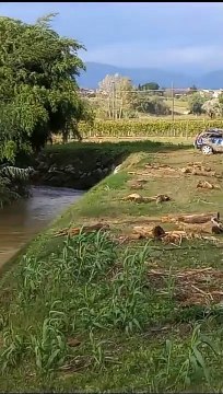 Coppia travolta dall'alluvione tra Vinci e Lamporecchio, il luogo dell'incidente