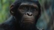 Kingdom of the Planet of the Apes (La Planète des Singes: Le Nouveau Royaume): Trailer HD VF