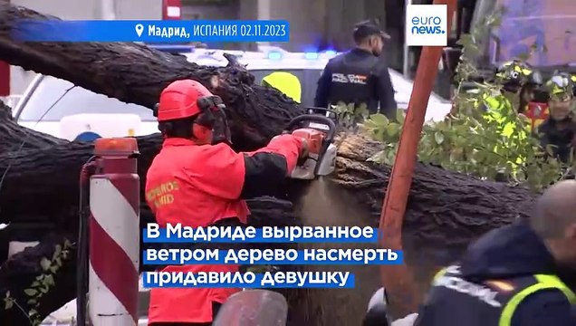 Число жертв шторма Киаран в Европе возросло до 12