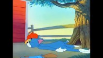 My - Cartoons For Kids Tom and Jerry - Ep. 64 - The Duck Doctor (1952)   Jerry Game  Ep. 50