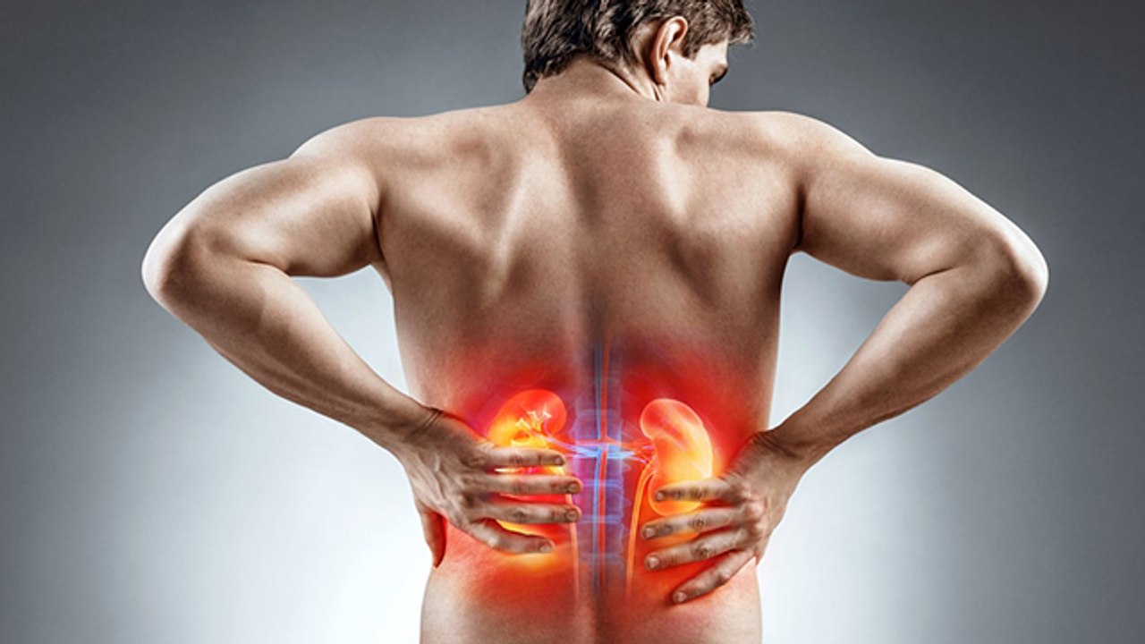 Ayurvedic Herbs To Improve Kidney Health | Boldsky