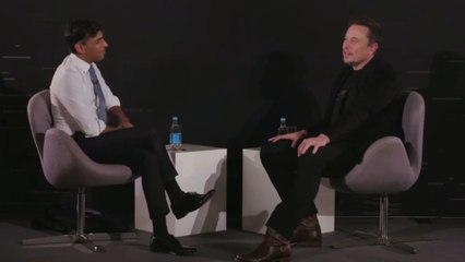 Sunak and Musk - What did they have to say about AI?