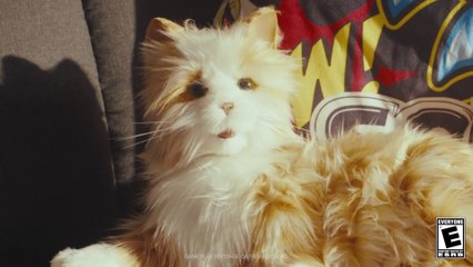 Sonic Superstars - Bande-annonce live action