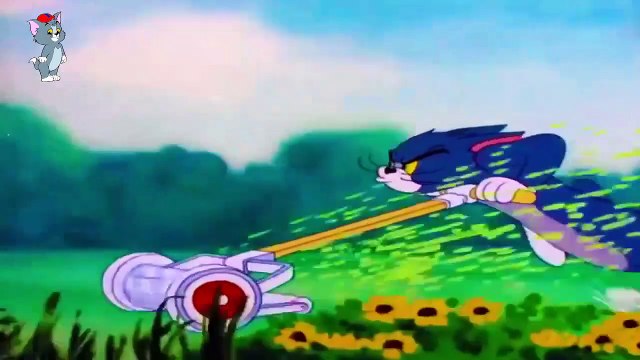 My-Cartoon For Kids Tom And Jerry English Ep. - Little Quacker - Cartoons For Kid Ep. 62