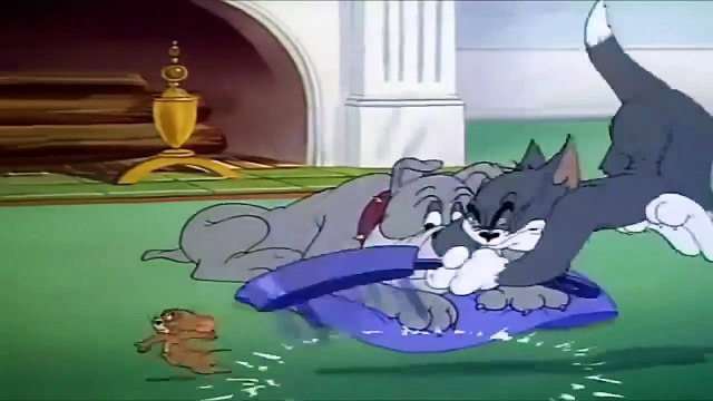 My-Cartoon For Kids Tom And Jerry English Ep. - Quiet Please! - Cartoons For Kids Tv