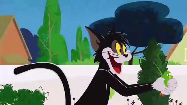 The Tom and Jerry Show - Birds of a Feather - Funny animals cartoons for kids