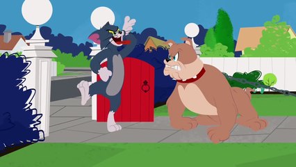 The Tom and Jerry Show - Domestic Kingdom - Funny animals cartoons for kids