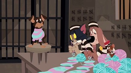The Tom and Jerry Show - Cat Napped - Funny animals cartoons for kids