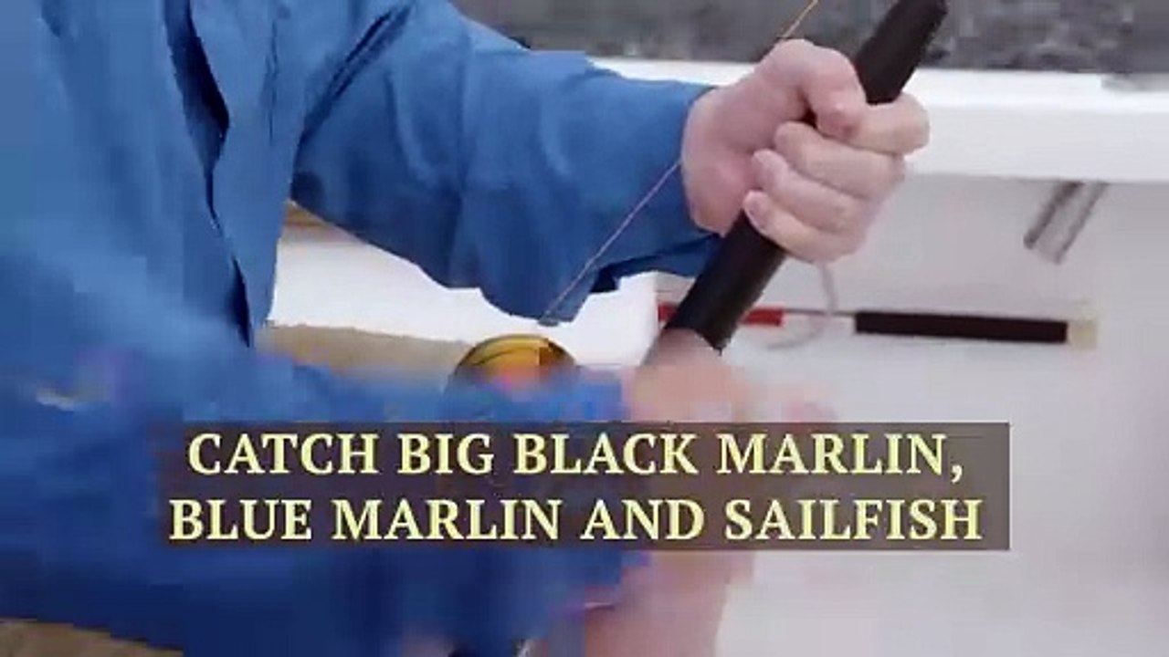 Join Marlin Expeditions in Panama in 2024