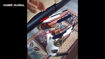 Sahibi ile birlikte tempo tutan sevimli kedi izlenme rekorları kırdı